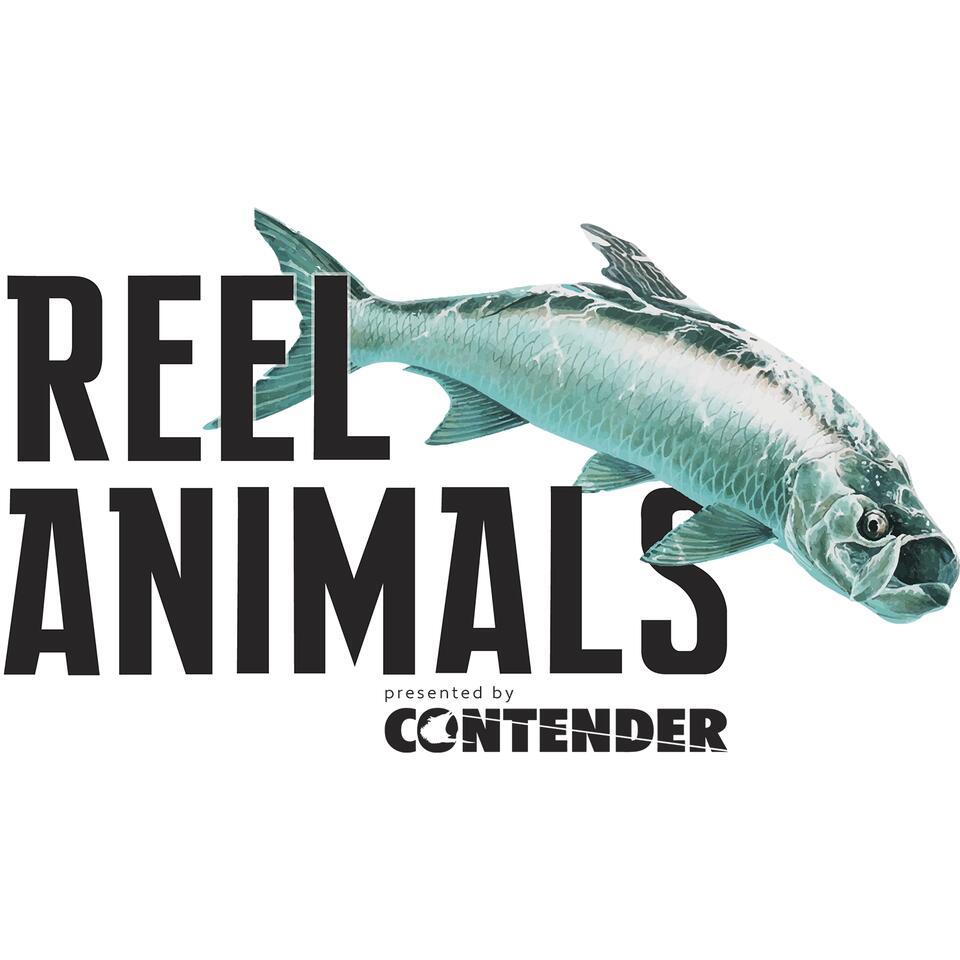 Reel Animals