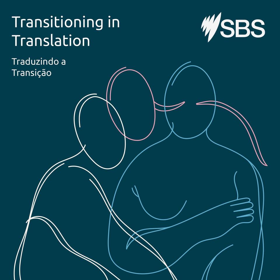 Transitioning in Translation - Traduzindo a transição
