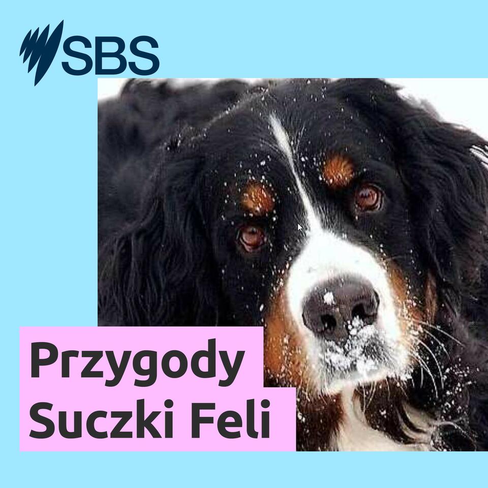 Przygody Suczki Feli