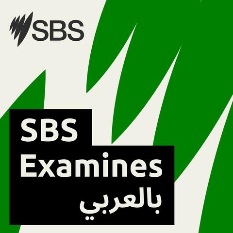 أس بي أس تتحقق