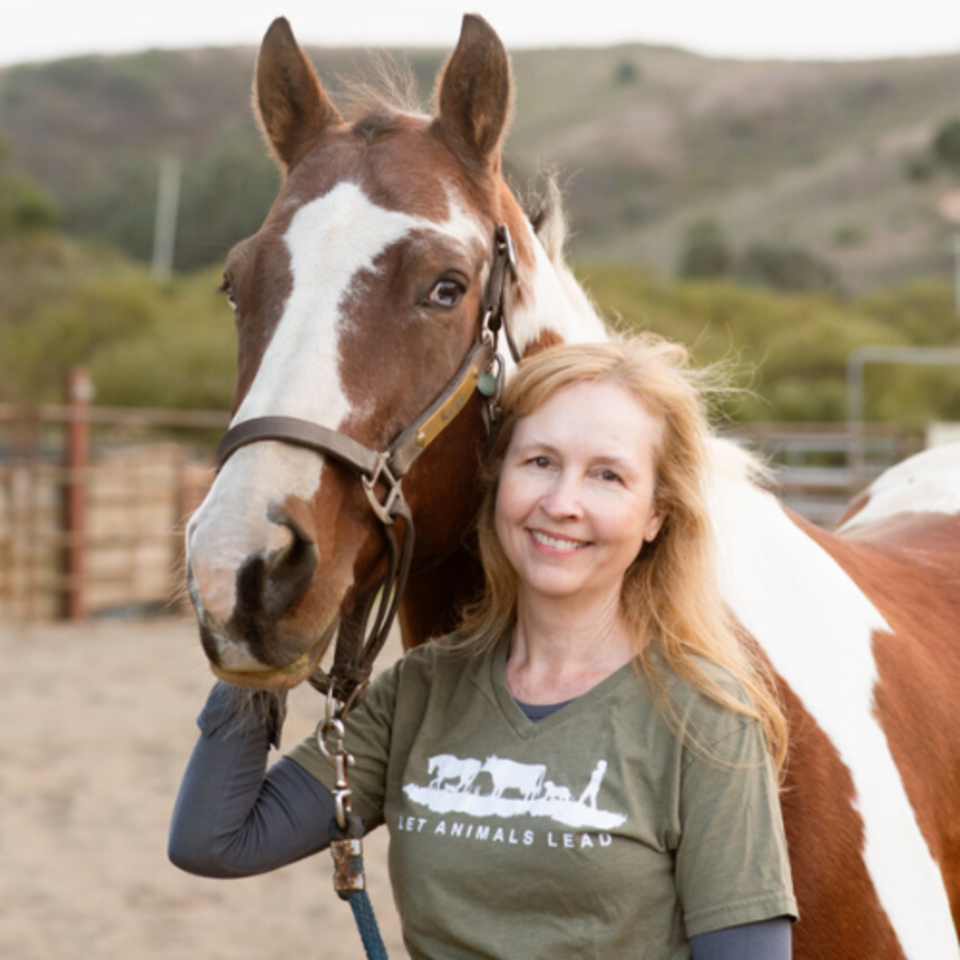 Animal Reiki Talk