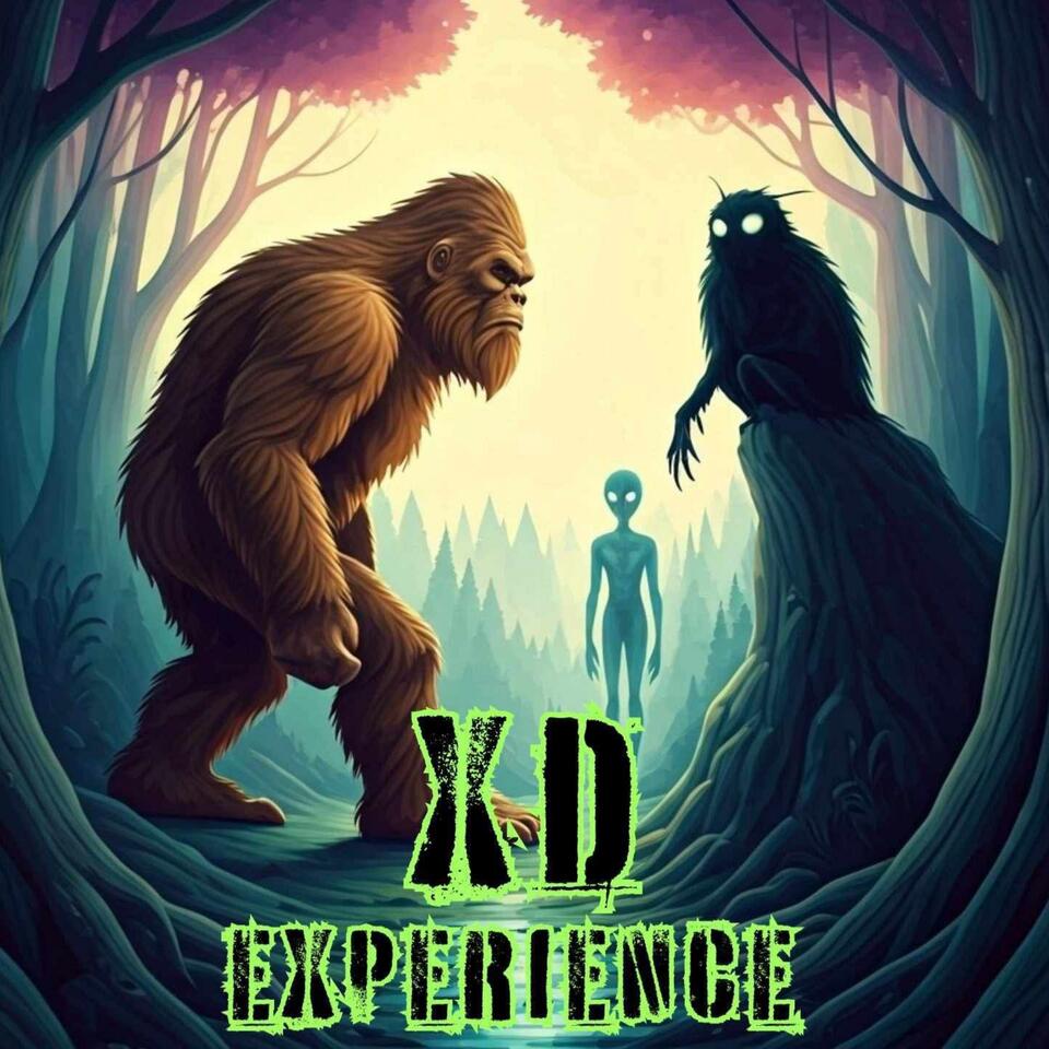The XD Experience
