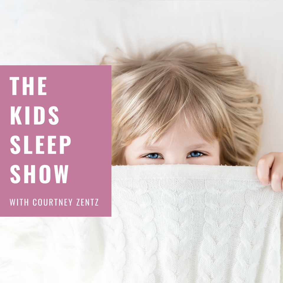 The Kids Sleep Show