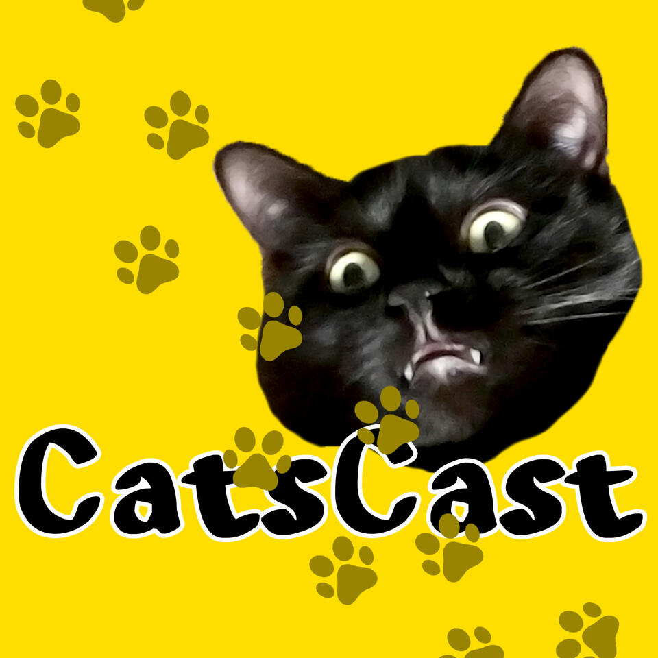 CatsCast