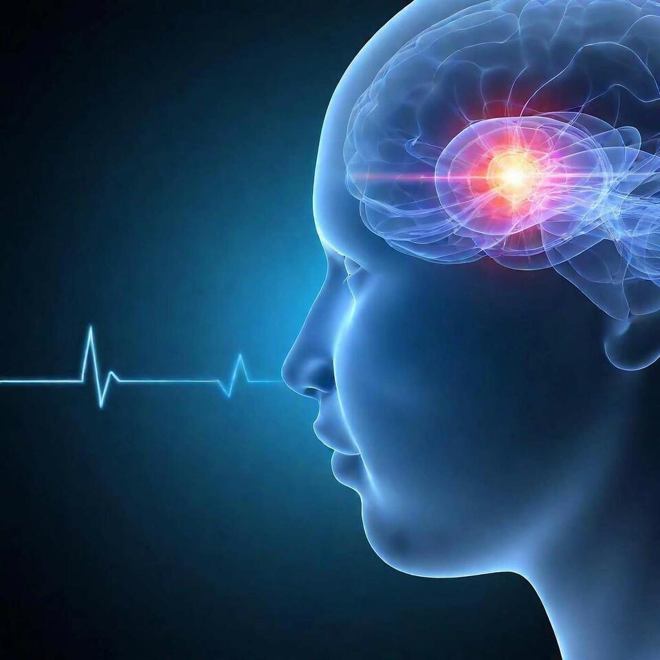 NeuroShifts