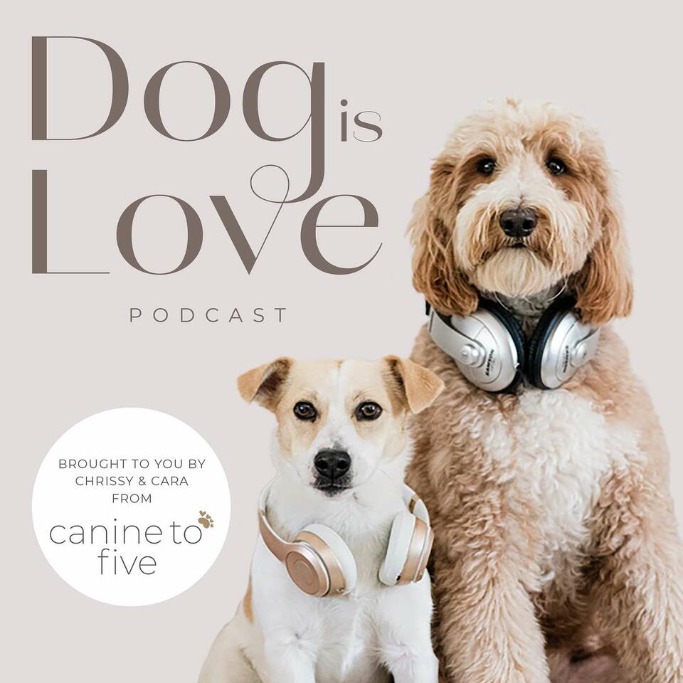 Dog is Love