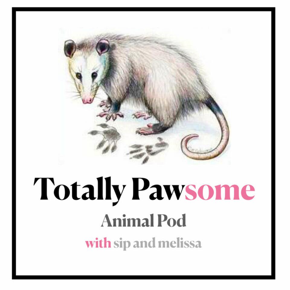 Totally Pawsome Pod