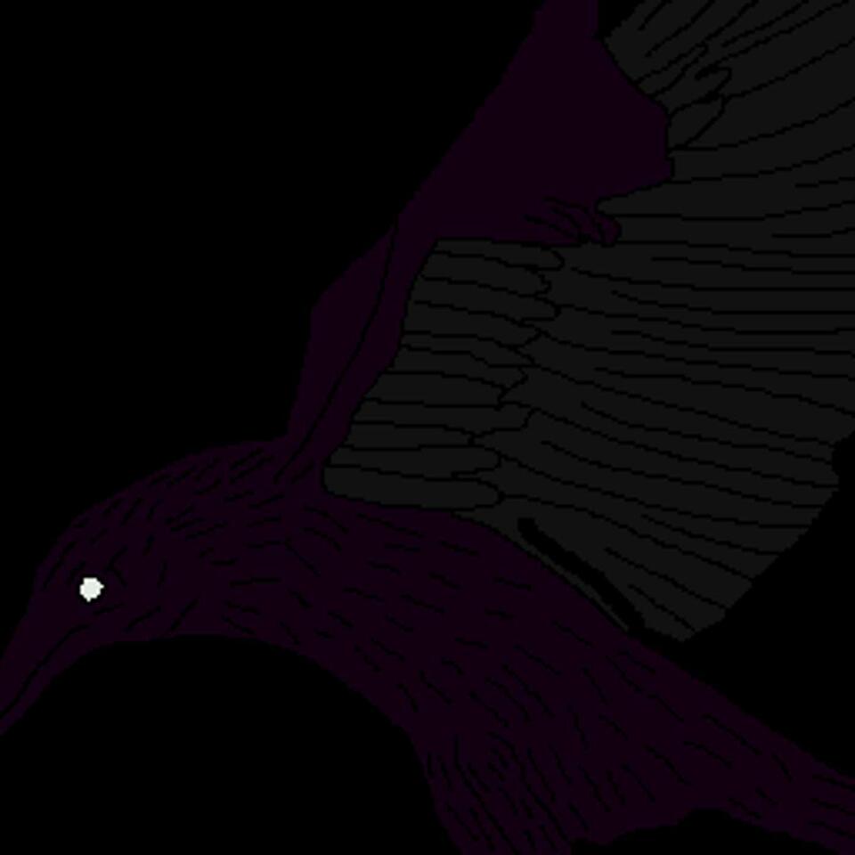 Corvus' Crow-tique