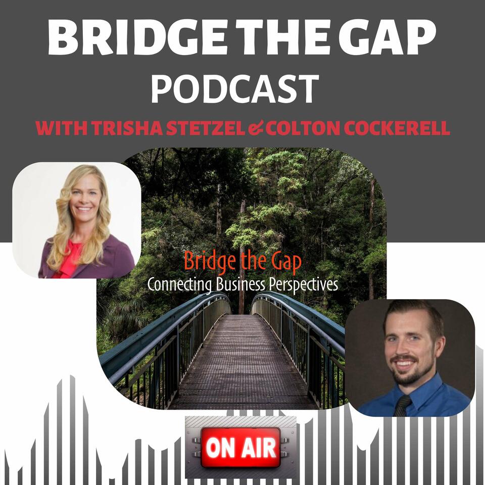 Bridge the Gap Podcast Connecting Business Perspectives