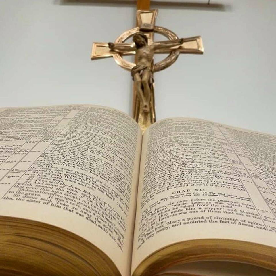 Sermons from the Divine Service