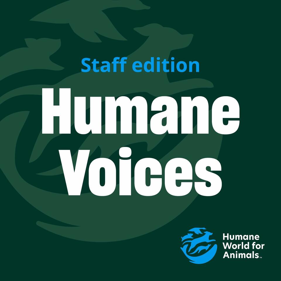 Humane Voices: Staff Edition
