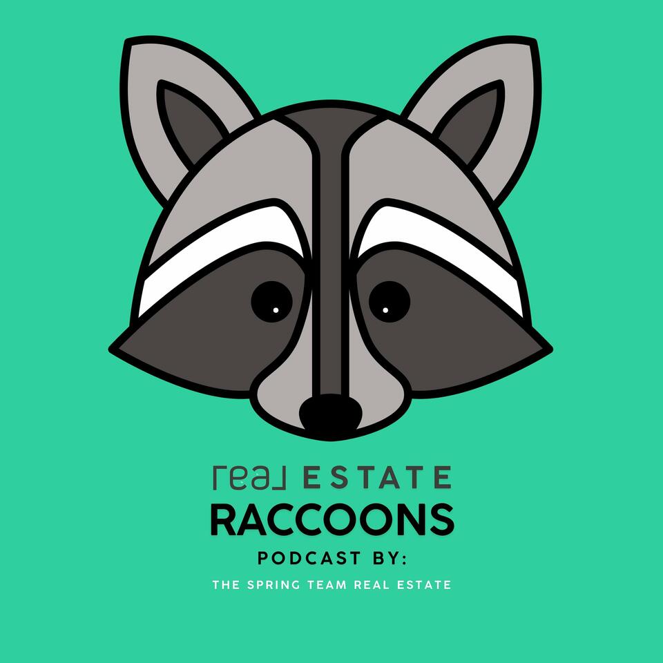 Real Estate Raccoons