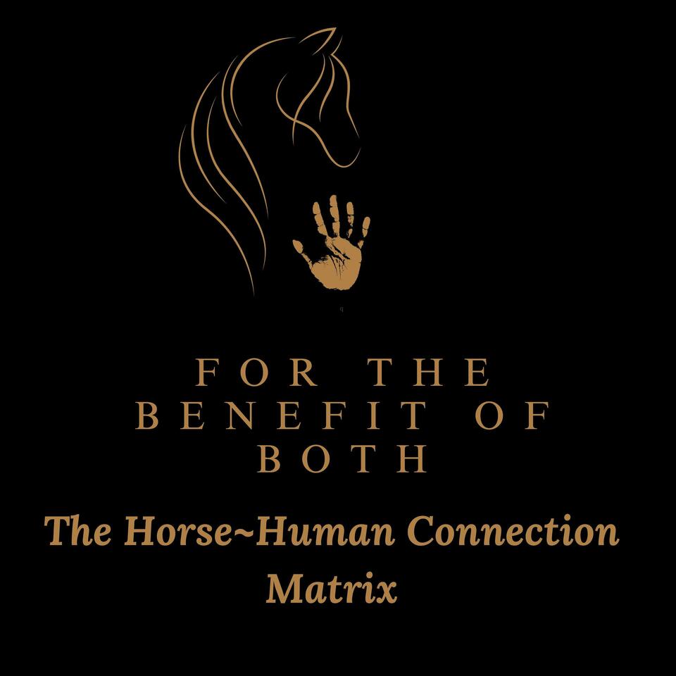 The Horsehuman Connection Matrix