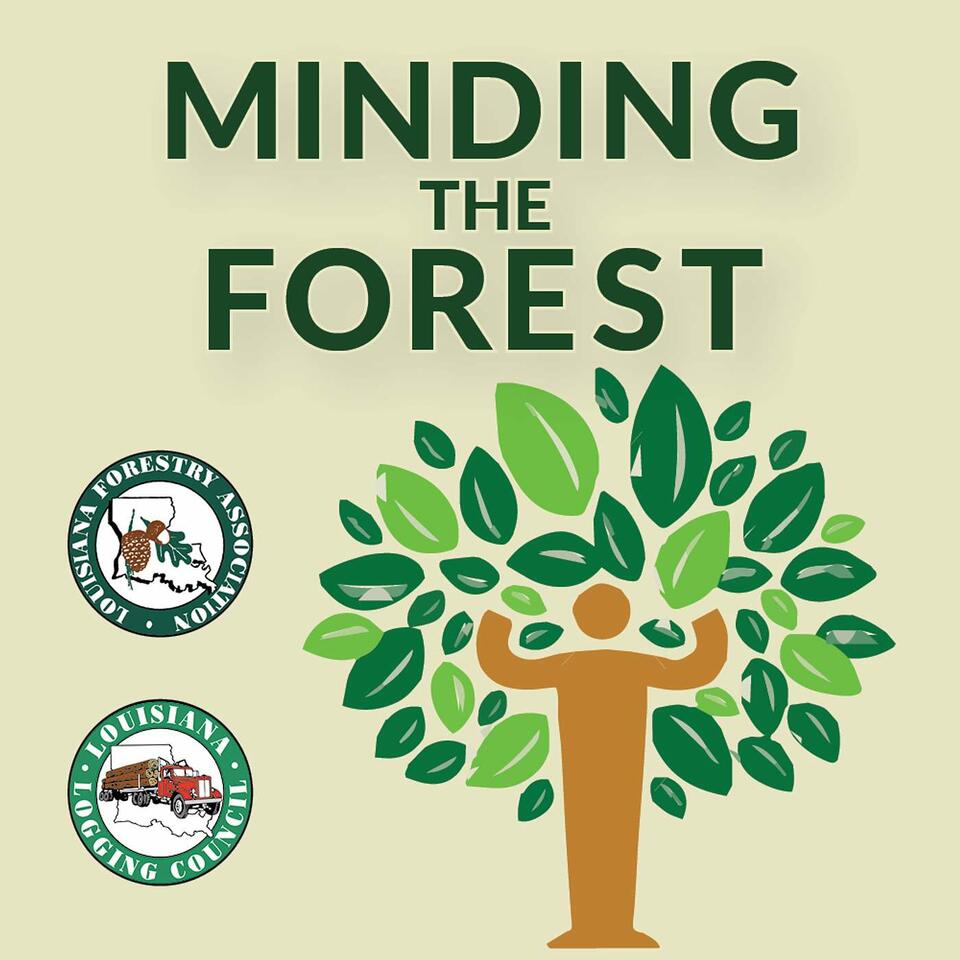 Minding the Forest