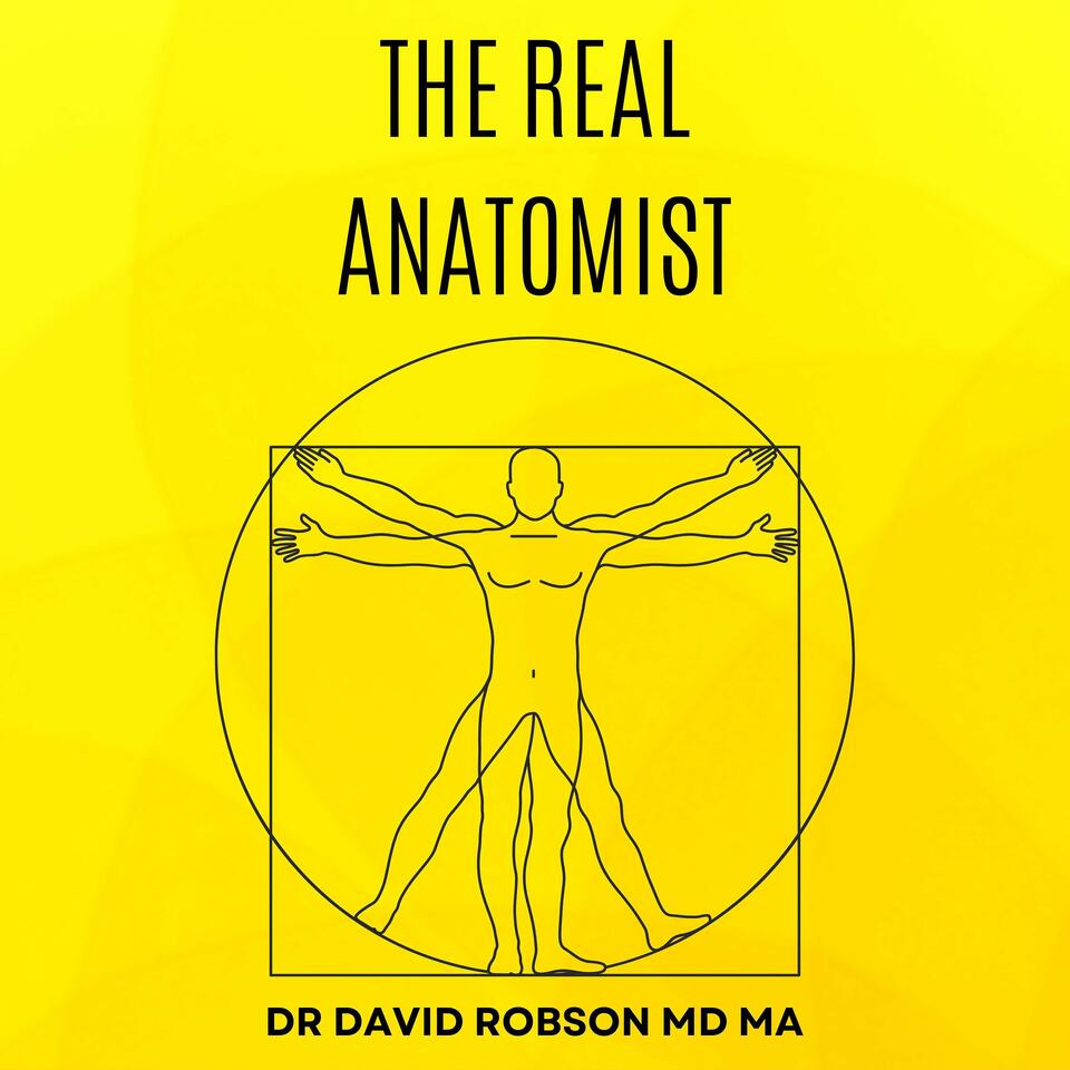 The Real Anatomist