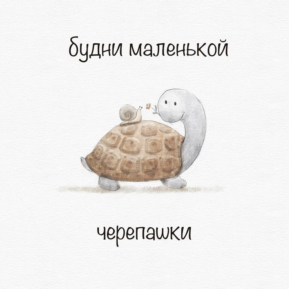 Будни Маленькой Черепашки