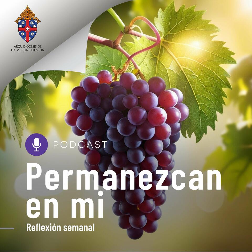 Permanezcan en mi
