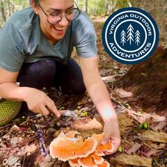 Virginia Outdoor Adventures: Hiking, Camping, Kayaking, Local Travel and more!