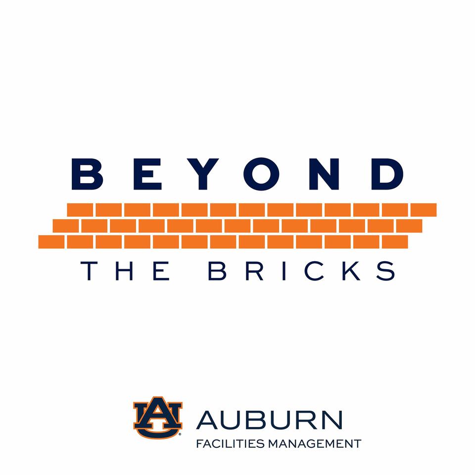 Beyond the Bricks