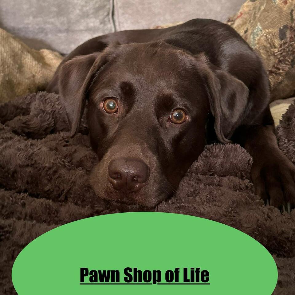 Pawn Shop of Life - Talks about everything