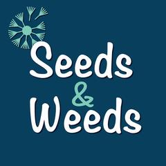 The Magic of Mushrooms  - Seeds & Weeds Podcast