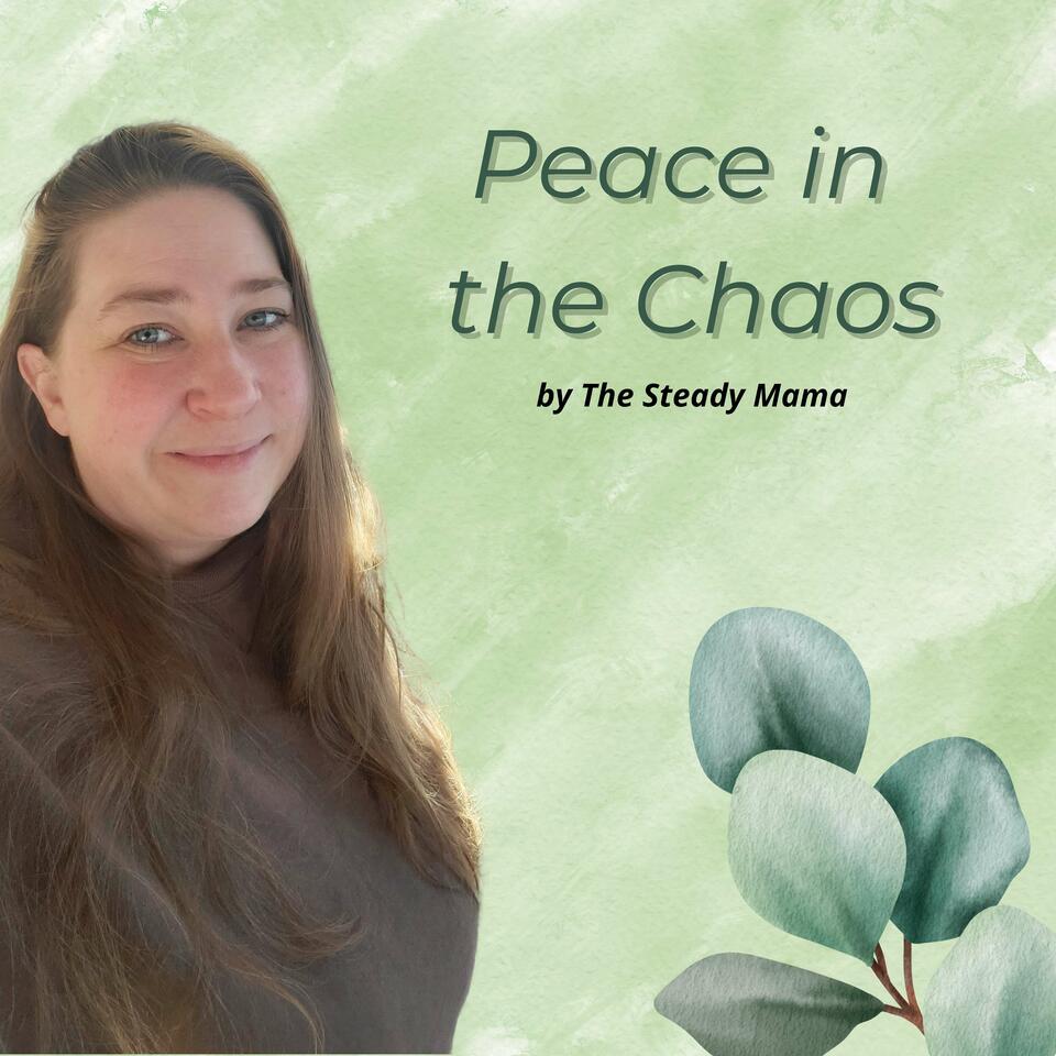 Peace in the Chaos by The Steady Mama