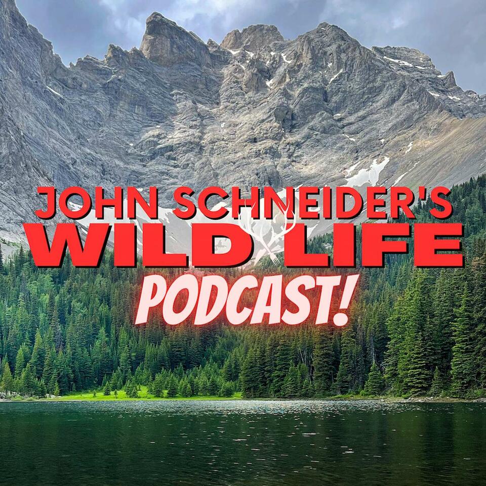 John Schneider's Wild Life