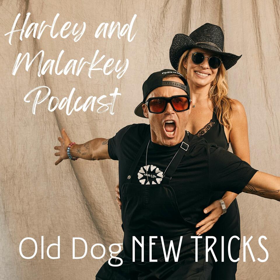 Harley and Malarkey Podcast: Old Dog New Tricks