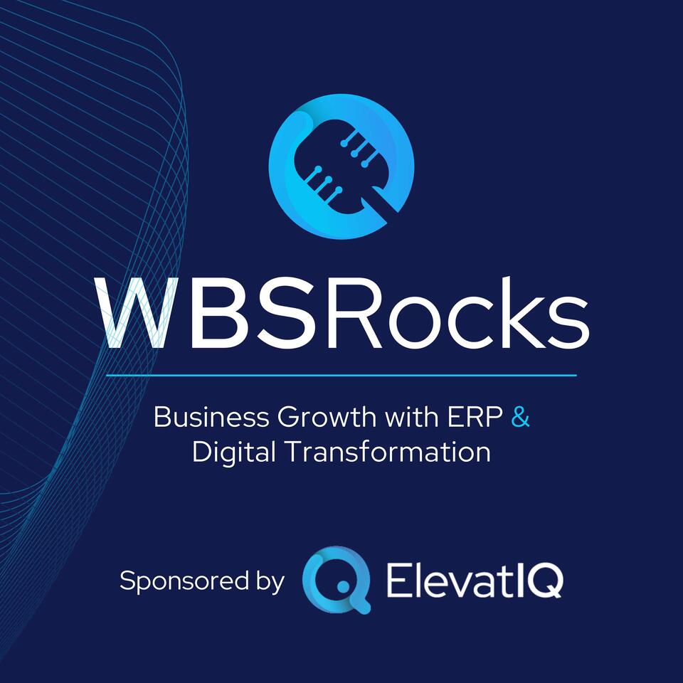 WBSRocks: Business Growth with Enterprise Software and Digital Transformation