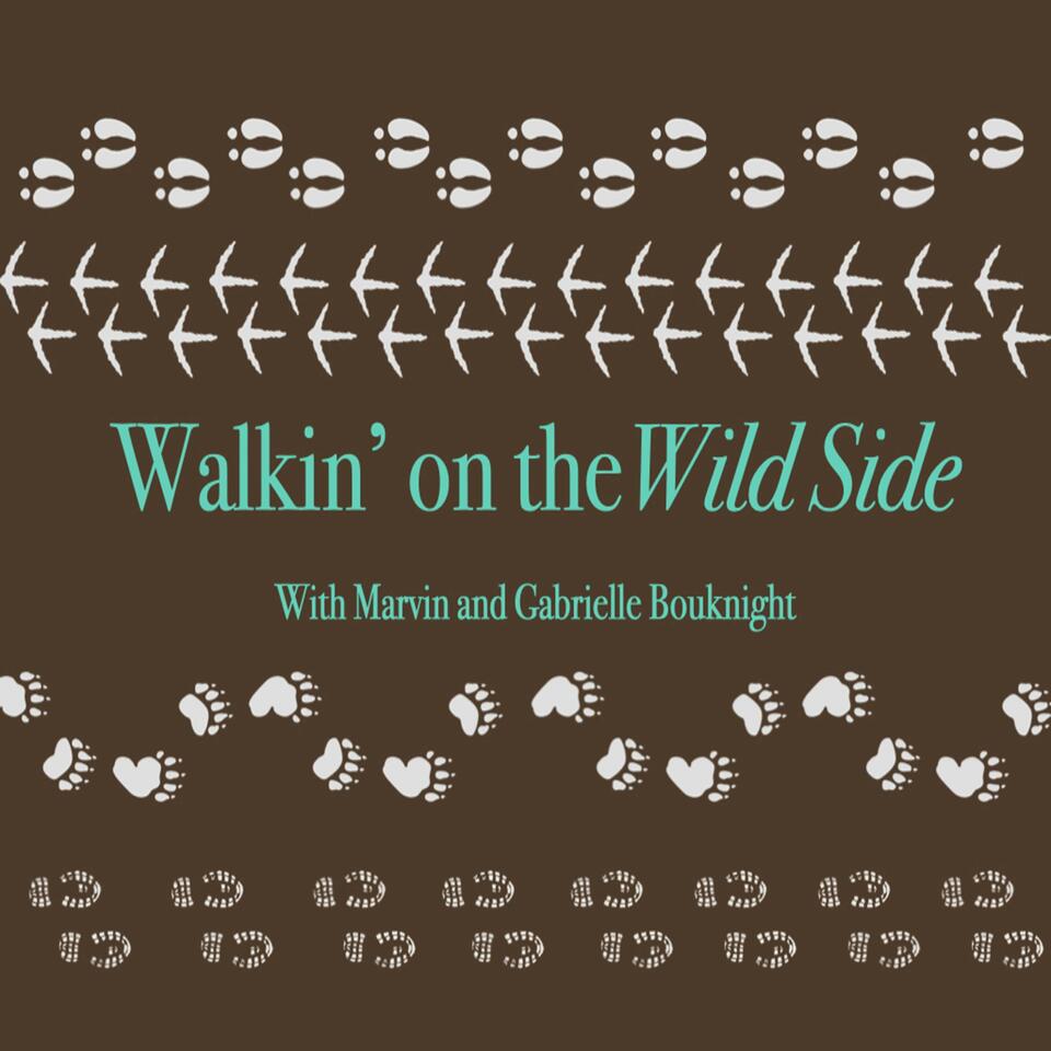 Walkin' on the Wild Side