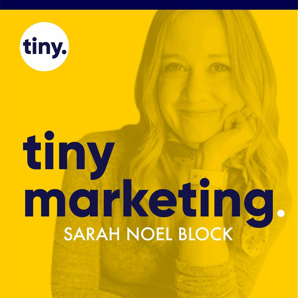Tiny Marketing: Marketing strategies and systems for B2B service business founders.