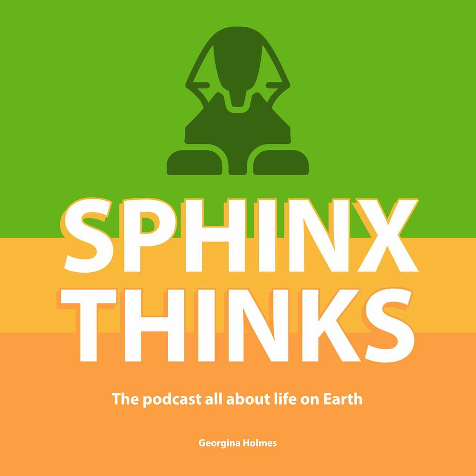 Sphinx Thinks