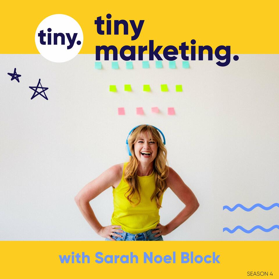 Tiny Marketing: Marketing and Sales Systems for Independent Consultants