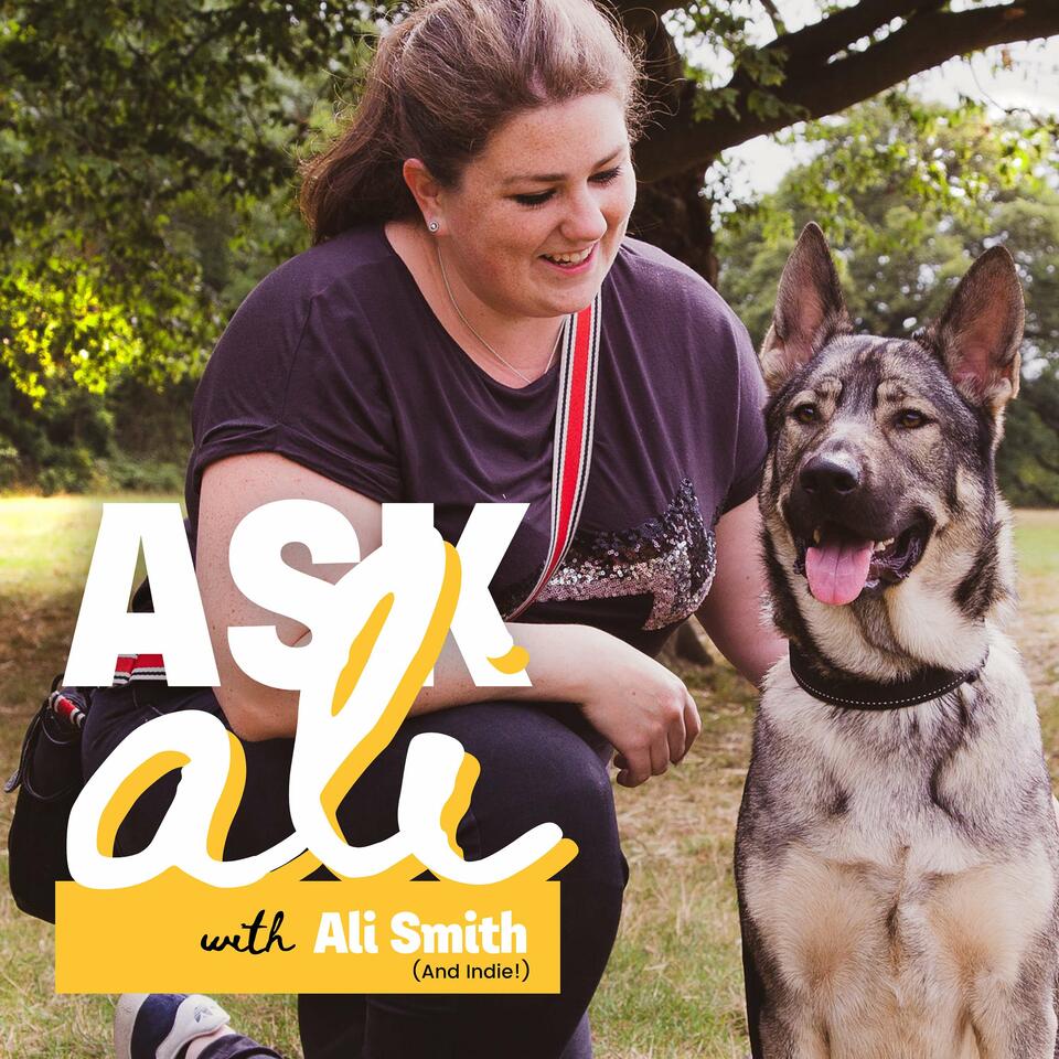 Ask Ali - A Professional Dog Trainer Answers Your Dog Training Problems!