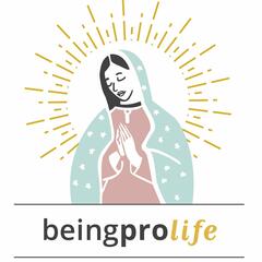 Being Pro Life: Universal Design Part 3: Fr. Matthew Schneider, LC - Being Pro Life