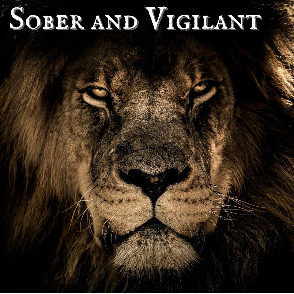 Sober and Vigilant