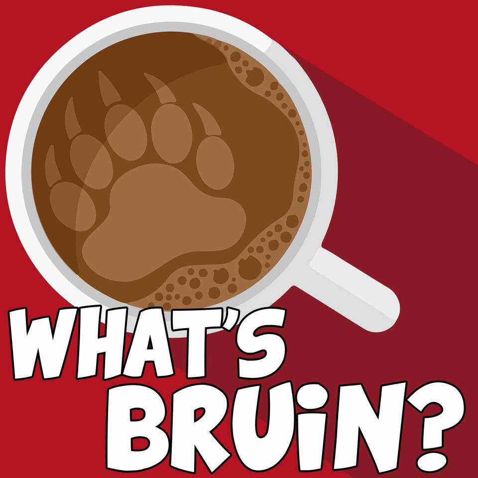 What's Bruin?