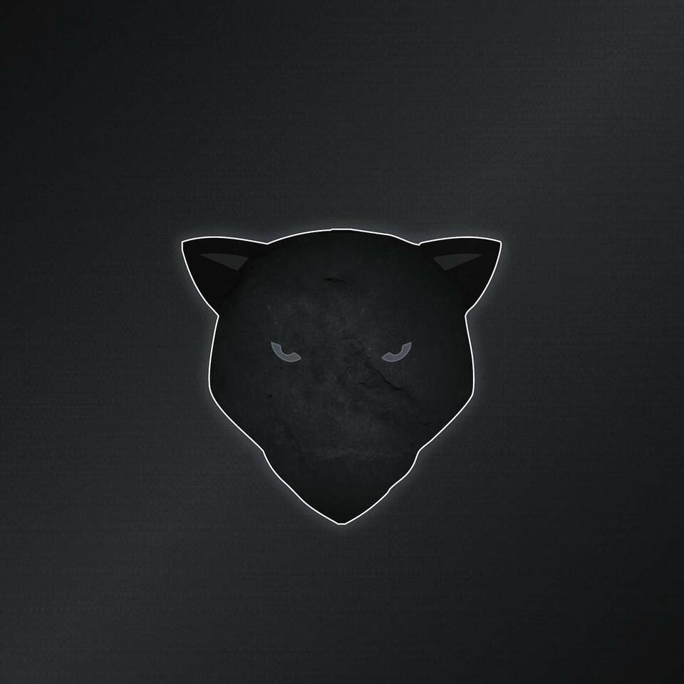 Cowtown Cats/Follow The Panthers