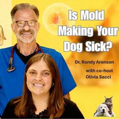 Paws, Reflect & Heal with Dr. Randy