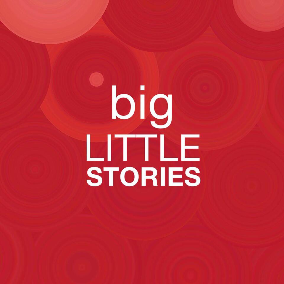 Big Little Stories