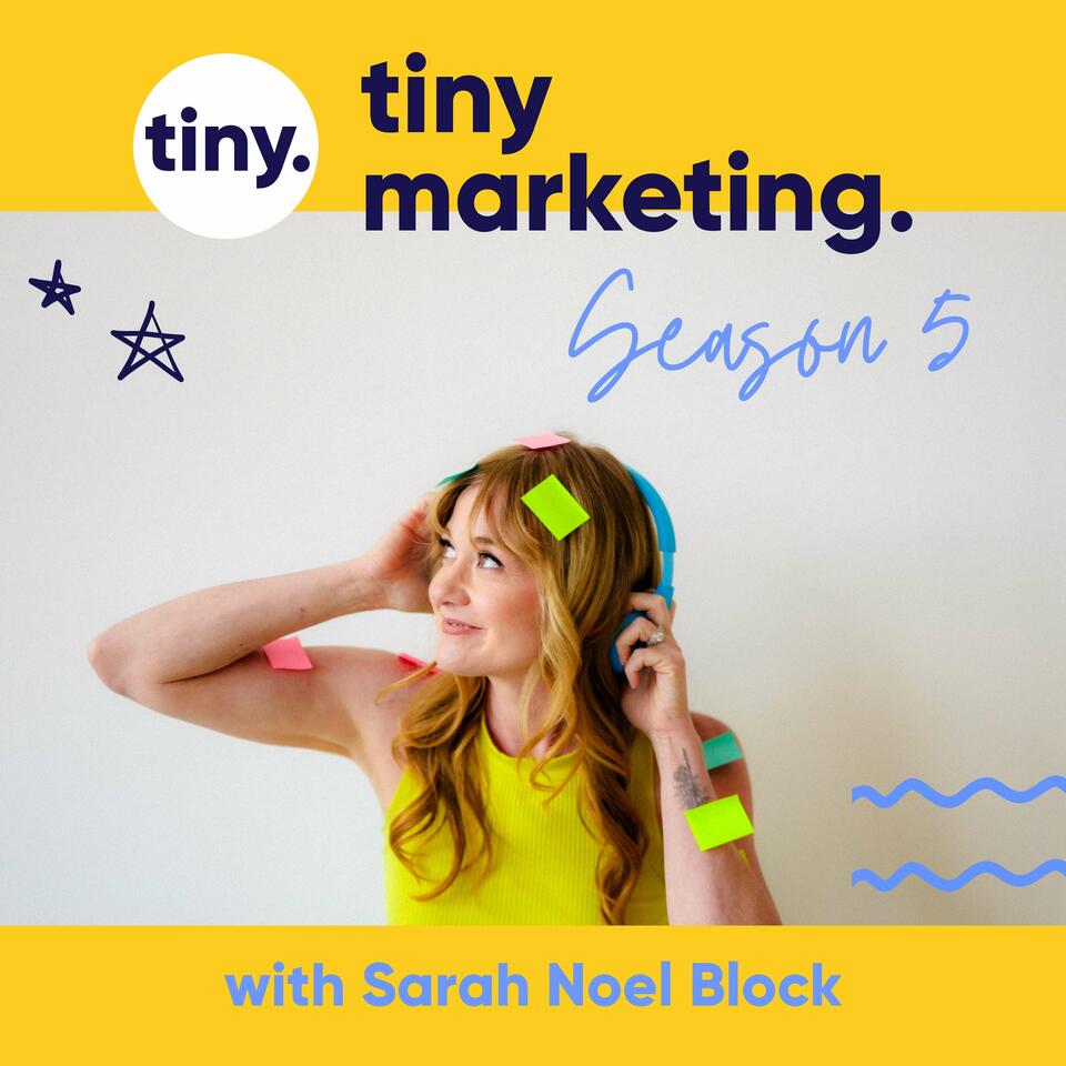 Tiny Marketing: Marketing and Sales Systems for Independent Consultants