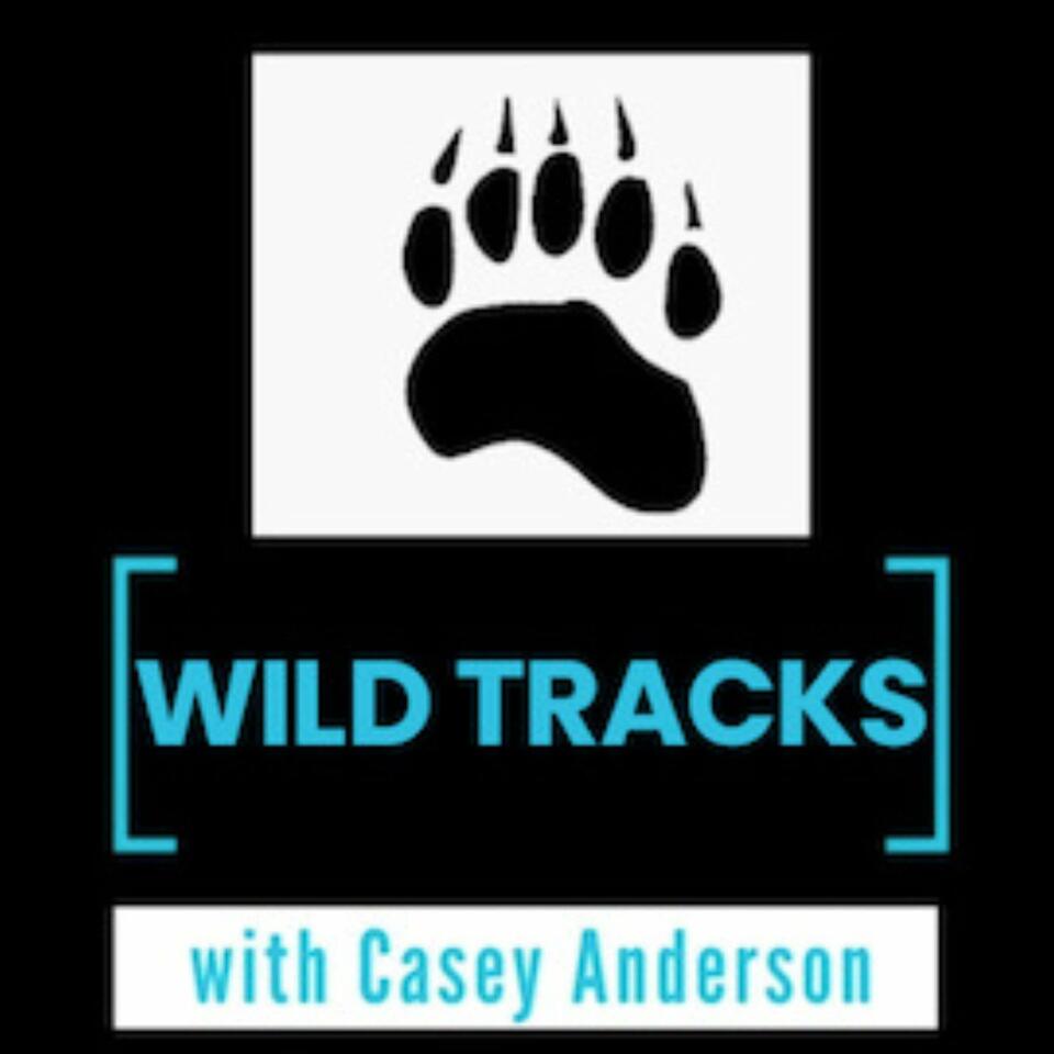 Wild Tracks with Casey Anderson