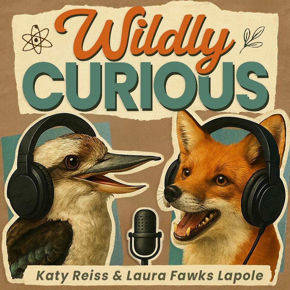 Wildly Curious