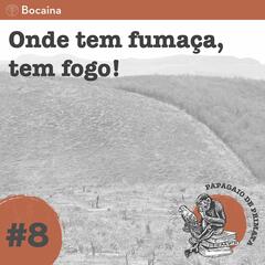 Onde tem fogo, tem fumaça - Papagaio de Primata