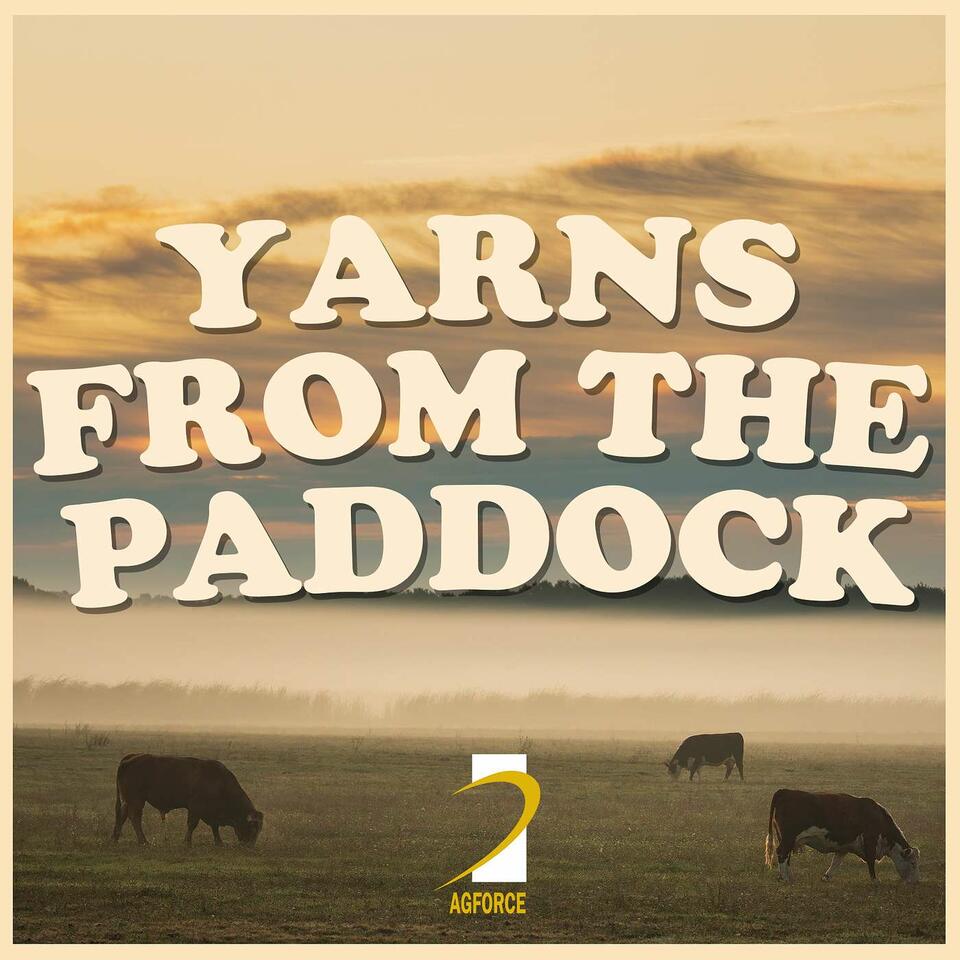 Yarns From the Paddock Podcast by AgForce Queensland