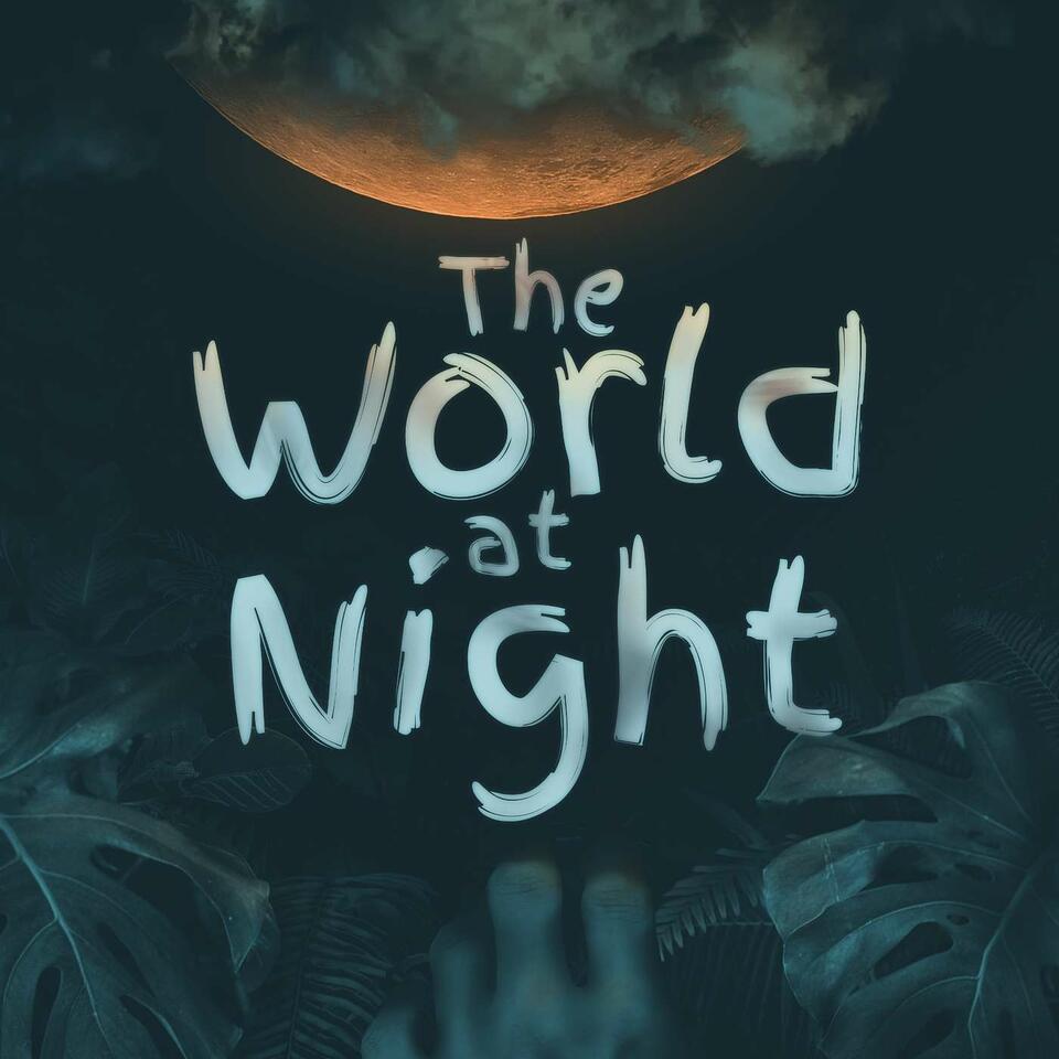 The World At Night Podcast