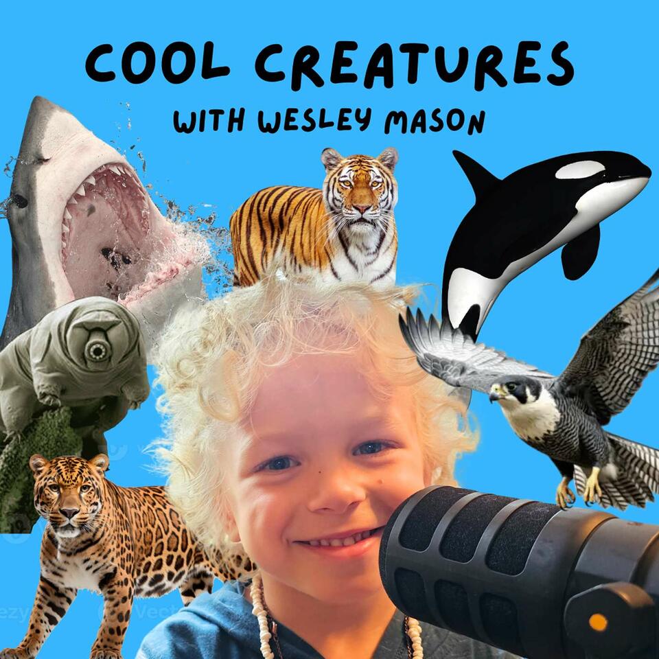 Cool Creatures