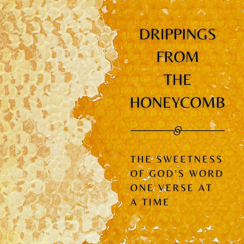 Drippings from the Honeycomb