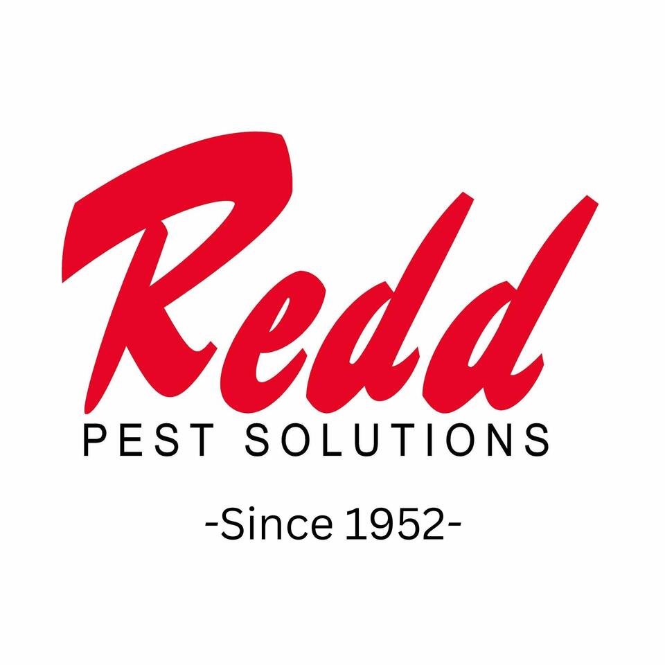 Redd Man Podcast