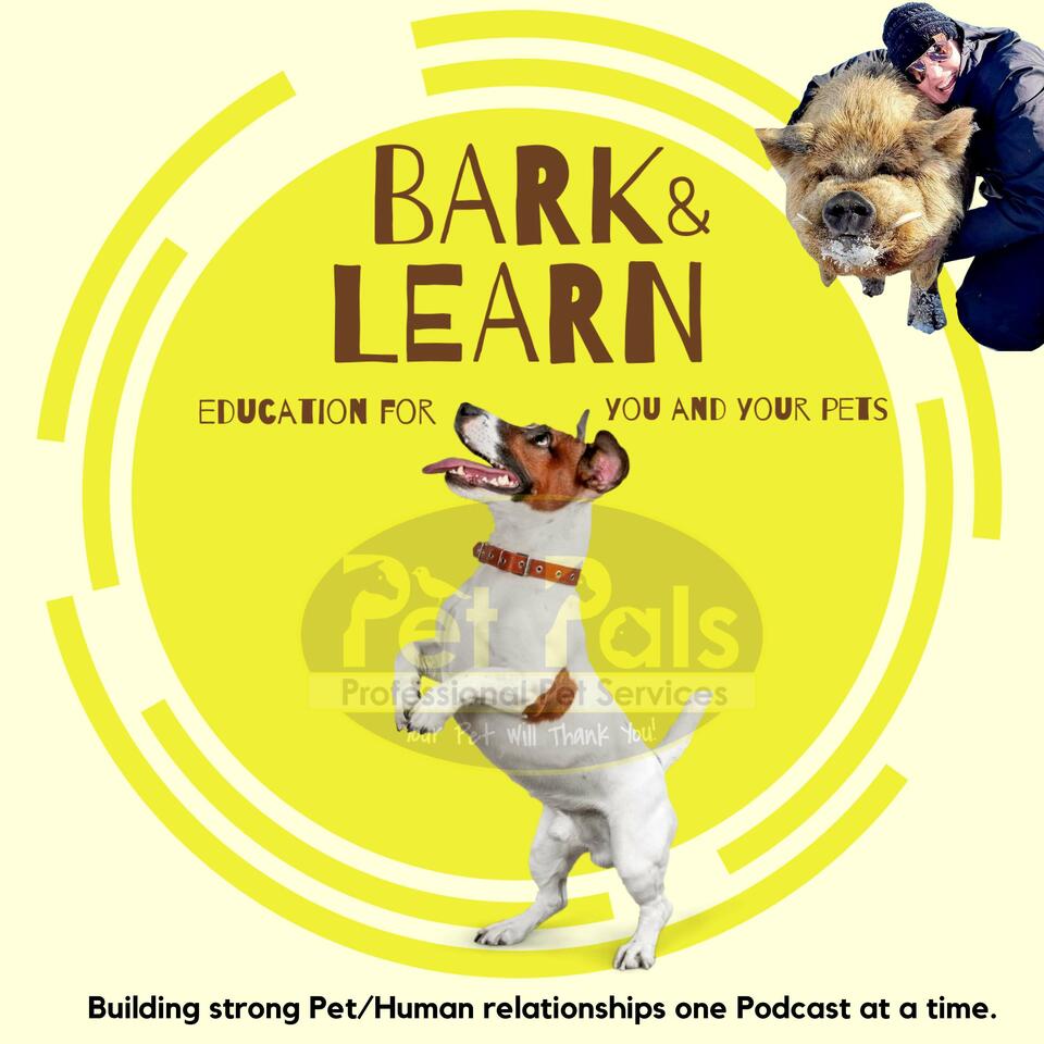 Pet Pals Bark & Learn